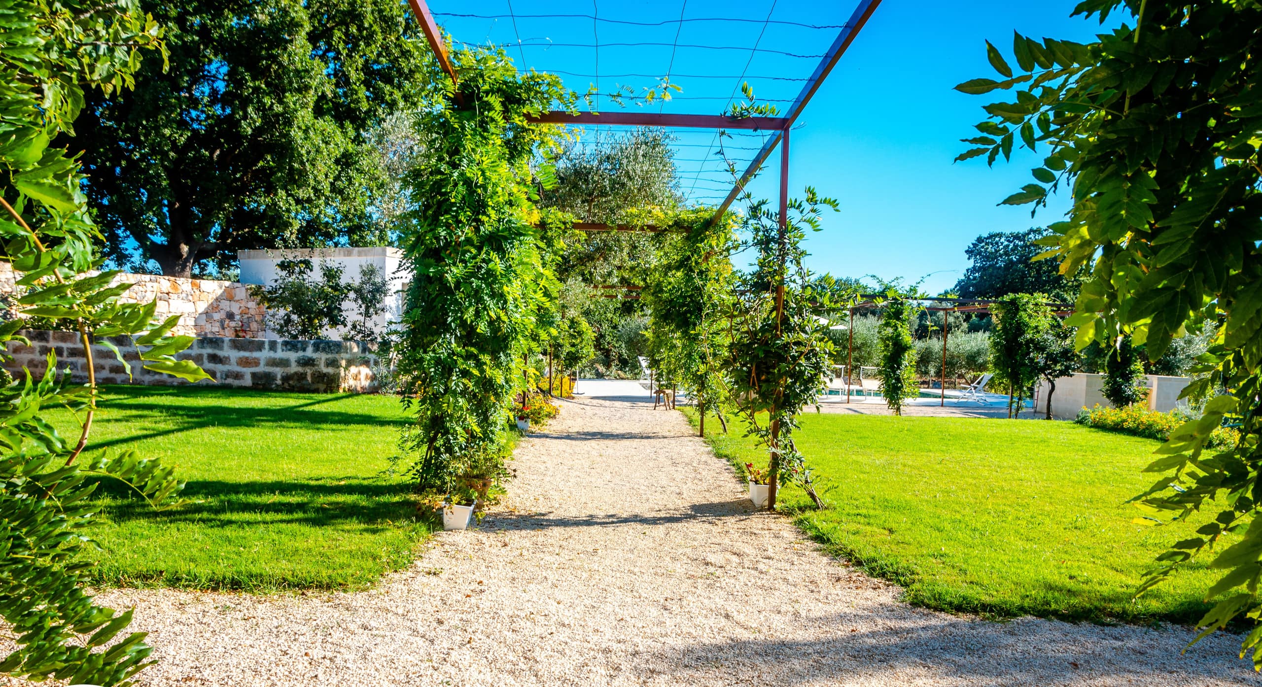 L'allée ombragée sous la pergola, en plein jour