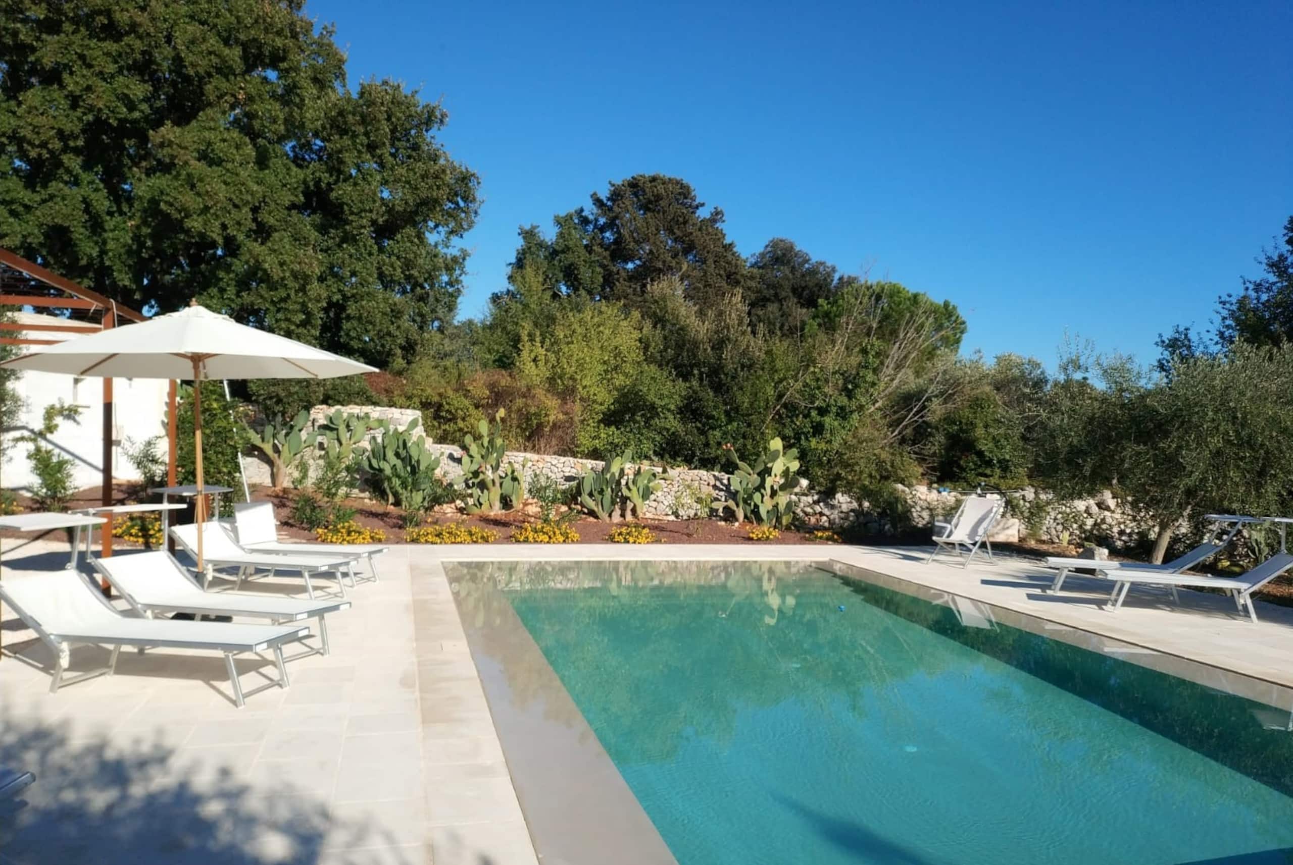 La piscine à débordement d'eau salée bordée de transats, dans le jardin d'oliviers