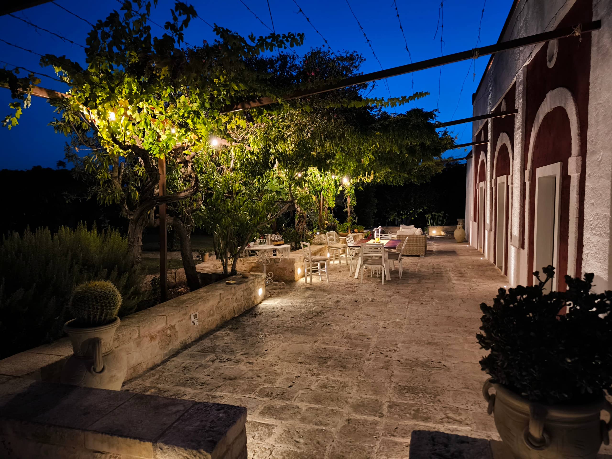 La pergola de vigne éclairée à la tombée de la nuit