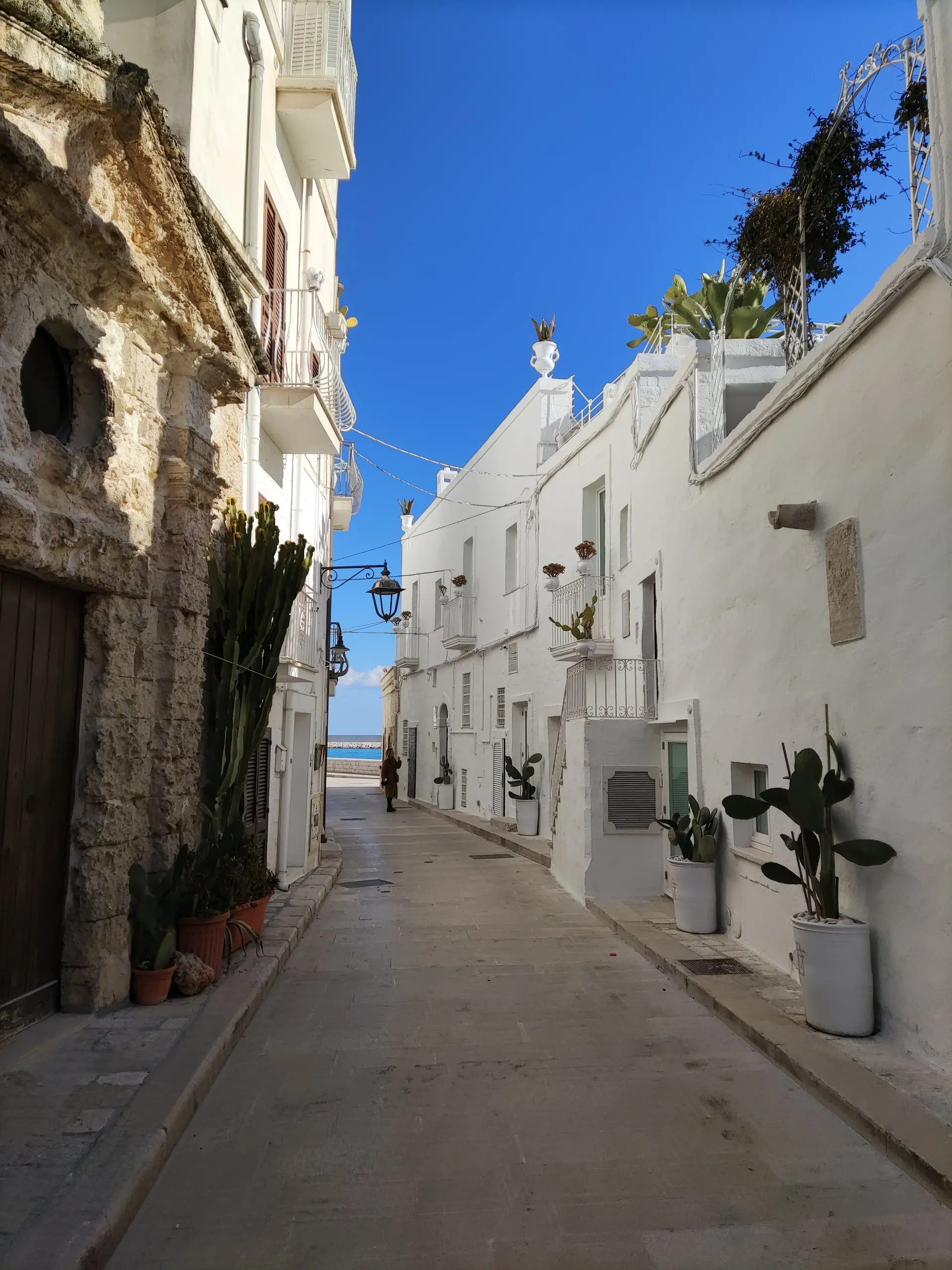 Une ruelle blanche du centre historique de Monopoli